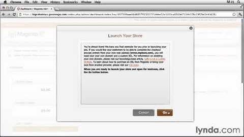 synapseindia Magento development  How to Setup livestore in Magento