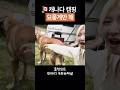 캐나다 캠핑 이렇게만 해 🇨🇦🏕️