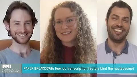 Paper Breakdown: How transcription factors recognize binding motifs on chromatin