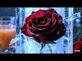 ​Frozen Rose Cinematic AI Art