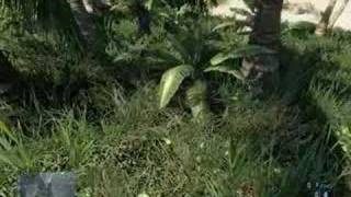 crysis shadow problem