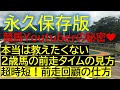 【永久保存版】競馬YouTuberが教える2歳戦の見方と超時短前走確認
