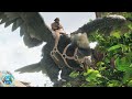 We needed to tame up these dinosaurs | ARK The Center EP 5