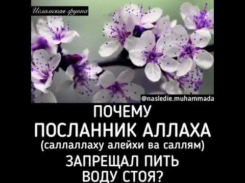 Почему нельзя пить стоя. Почему нельзя пить воду стоя.