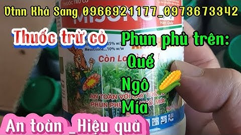 Thuốc trừ cỏ phủ trên cây quế.|Vtnn Khá Sang
