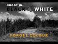 Black & White Shoot   4K