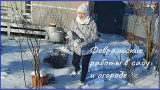 Сделайте это в феврале в саду и огороде  #сад#огород #работы_в_феврале #удобрение_по_снегу