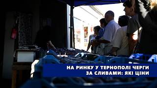 На ринку у Тернополі черги за сливами: які ціни