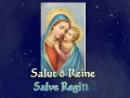 Salut  reine  salve regina