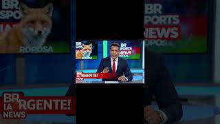 EXCLUSIVO: Paula Tejano entrevista a Raposa após confusão com o Galo!