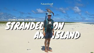 STORIES FROM THE FIELD - Papahānaumokuākea | remote island, monk seals, marine biologists 🌴🤿🦭