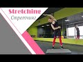 Стретчинг для начинающих// Stretching