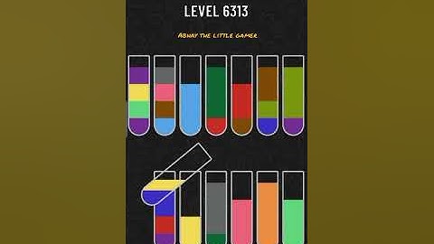 Water sort puzzle level 6313