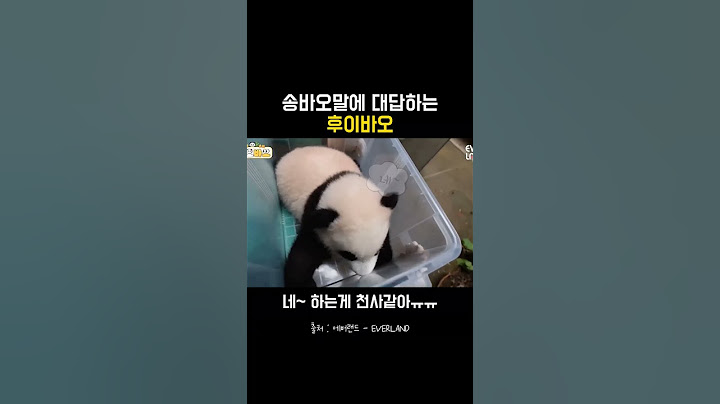 송바오말에 천사같이 대답하는 후이바오