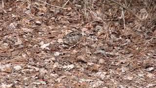 MOV03108