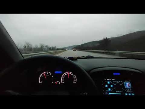 علي الديك ورطة