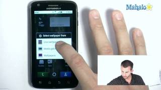 Live Wallpapers on Android Phone screenshot 5