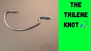 How to tie the trilene knot (quick and easy) #fishing #triangleknot