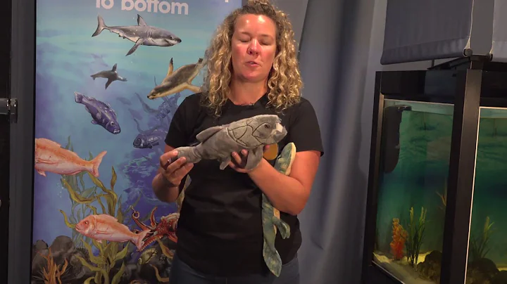 The story behind the Motherfish with Paleontologis...