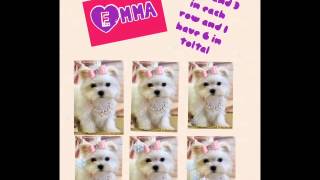 Emma Multiplication Array