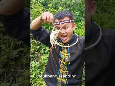 Enjoy Cooking Food With Natural Life Muster Chef Cooking China