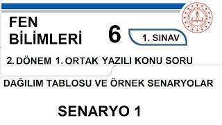 Fen Bilimleri 6. Sınıf 2. Dönem 1. Yazılı MEB senaryo 1 Soruları açık uçlu / klasik  yazılı