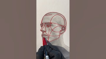 Draw the Head: Loomis Method
