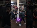 Der Flicker-Jab zum stören🥊#BoxingDrills #BoxingTraining #LearnBoxing #BoxingTips #BoxingSkills
