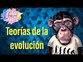 Teorías de la evolución | Fijismo, Lamarck, Darwin-Wallace, Neodarwinismo (teoría sintética)