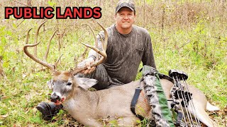 Top 6 Public Lands in Alabama for Deer Hunting
