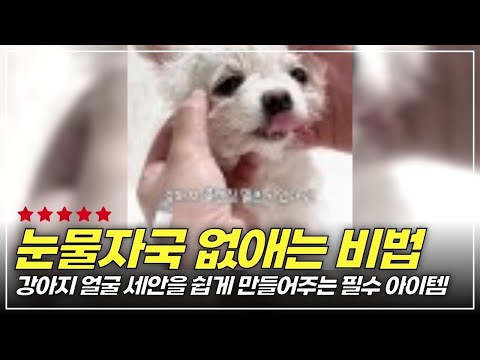 눈물자국과 눈곱 고민? 강아지 얼굴 클렌징 필수템 150ml 완벽 분석!