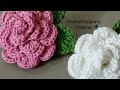 كروشيه ورده مجسمه ,وورقه شجر بسيطه  -    How to crochet a flower and a leaf