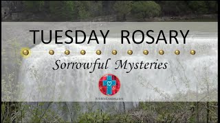 Tuesday Rosary • Sorrowful Mysteries of the Rosary 💜 May 28, 2024 VIRTUAL ROSARY - MEDITATION