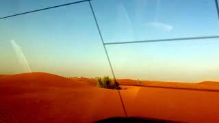 Desert Rose / Desert Safari - Dubai, UAE