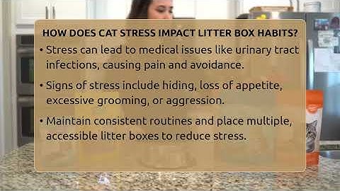 How Does Cat Stress Impact Litter Box Habits? - Happy Cat Handbook