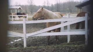 Emily at Mangold Ranch by phantom357 1,819 views 7 years ago 4 minutes, 13 seconds
