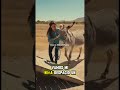 ¡DETUVIMOS EL AUTO ANTES DE QUE FUERA DEMASIADO TARDE!