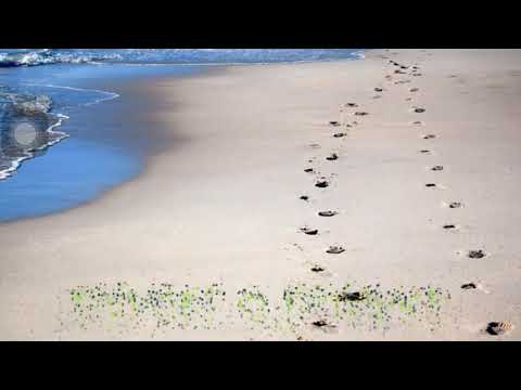 Daniel O’Donnel footsteps walking with me