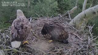 Så Er Der Morgenmad... To Gange 2021