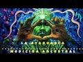 Ayahuasca Vid del alma