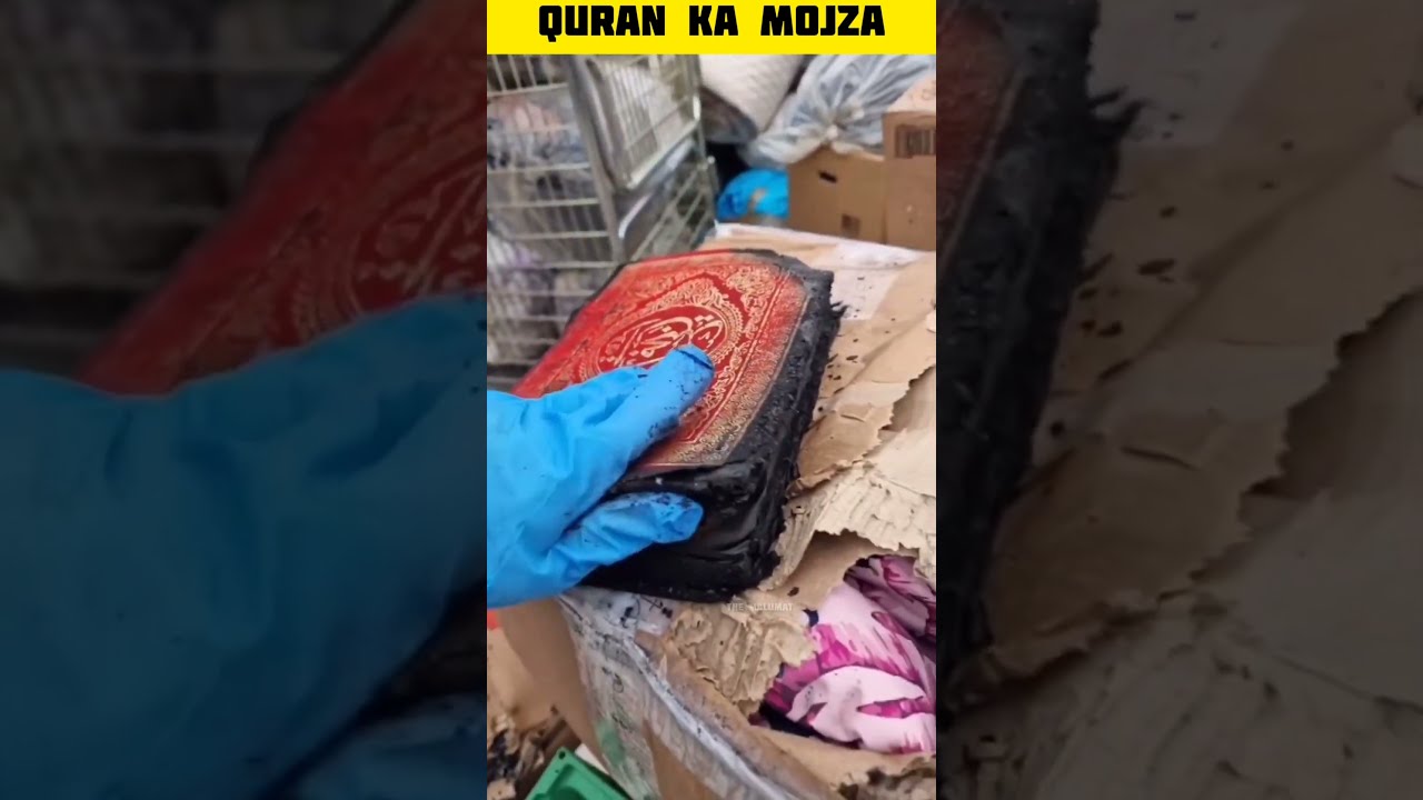 Quran ka mojza  Miracle of Quran  shorts