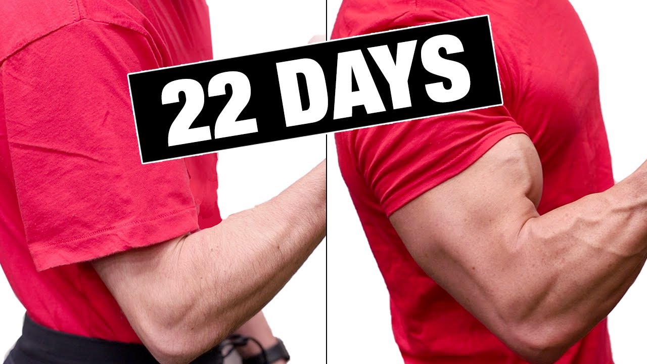Get Bigger Arms In 22 Days