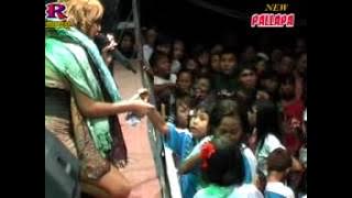 Janur Kuning - New Pallapa Live Petraka Pekalongan by Robian Dealova