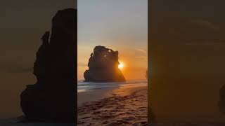 A Taste of Authentic AUSTRALIA  || #shorts #travel #travelvlog #tour #destination #explore