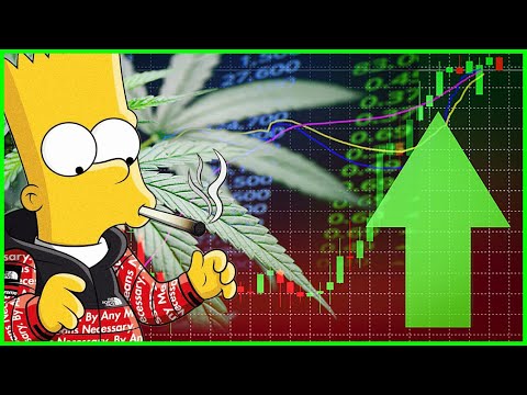 DOES WEED HELP YOU TRADE FOREX? | THE REAL EFFECTS OF MARIJUANA + FOREX TRADING | HAPPY 420 🌲