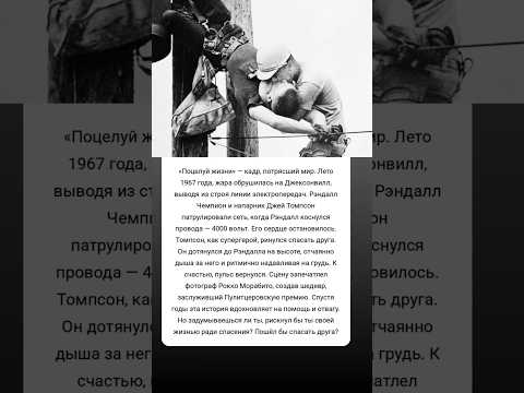 Поцелуй жизни: герой, спасший друга #истории #знаменитости #судьба #интересно