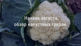 видео Подготовка участка к зиме - простые советы начинающим дачникам