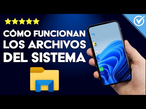 ¿Cómo Funcionan los Archivos del Sistema? Distintos Tipos y Compatibilidades