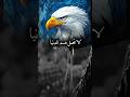 لاتحمل هم الدنيا خواطر اقنباسات كلام من ذهب عبارات حكم حالات واتس حكم وأقوال طور ذاتك لاتحمل هم الدنيا خواطر اقنباسات كلام من ذهب عبارات حكم حالات واتس حكم وأقوال طور ذاتك