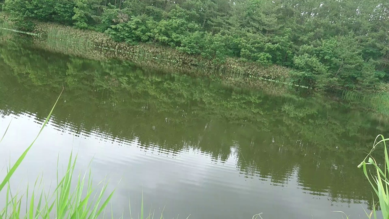 津軽 バス釣り Youtube